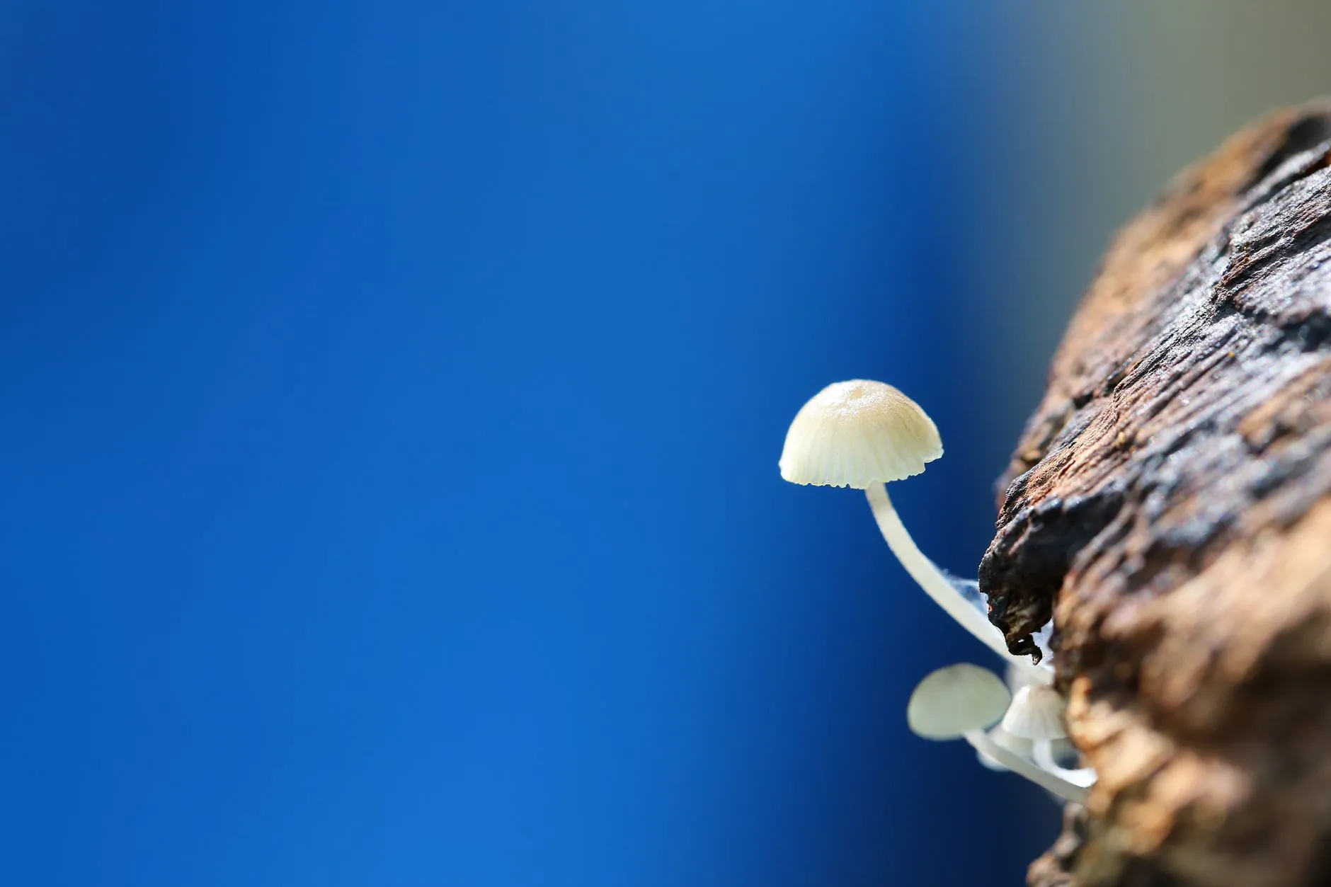 哈尔滨冬季办公取暖方案：电热垫与发热坐垫搭配使用指南